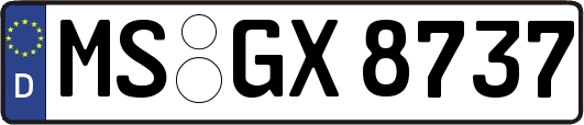 MS-GX8737