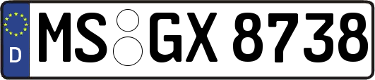 MS-GX8738