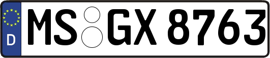 MS-GX8763