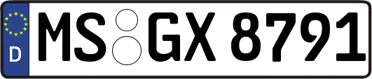 MS-GX8791