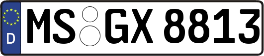 MS-GX8813