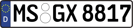 MS-GX8817