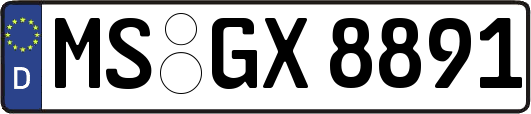 MS-GX8891