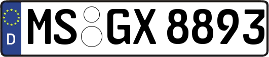 MS-GX8893