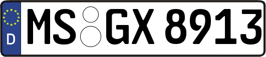 MS-GX8913