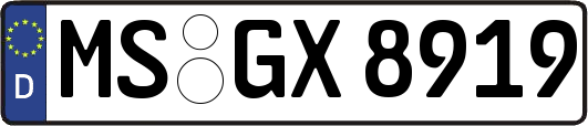 MS-GX8919