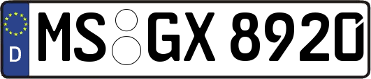 MS-GX8920