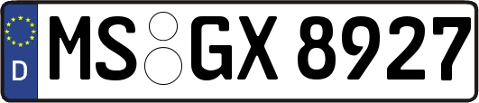 MS-GX8927