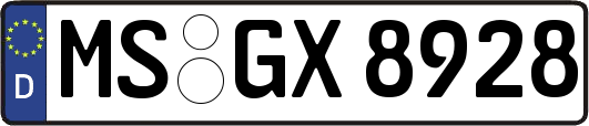 MS-GX8928