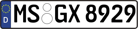 MS-GX8929