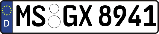 MS-GX8941