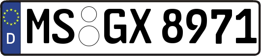 MS-GX8971