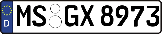 MS-GX8973