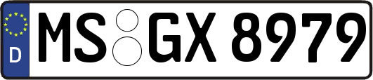 MS-GX8979