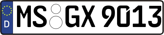 MS-GX9013