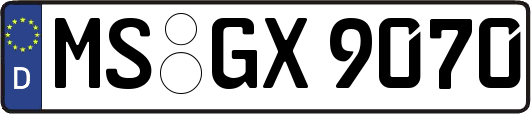 MS-GX9070