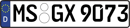 MS-GX9073