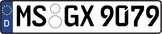 MS-GX9079