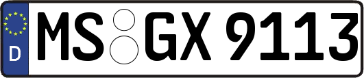 MS-GX9113