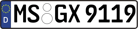 MS-GX9119