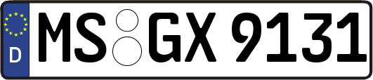 MS-GX9131