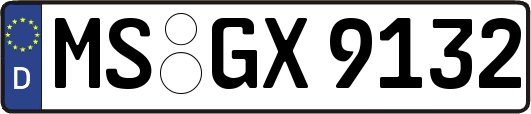 MS-GX9132