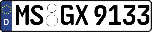 MS-GX9133
