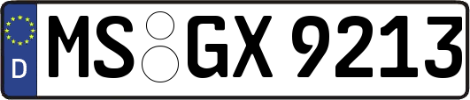 MS-GX9213