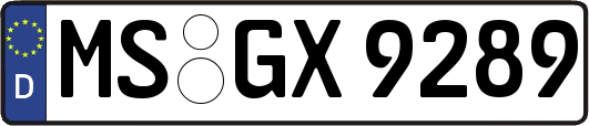 MS-GX9289