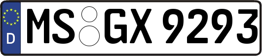 MS-GX9293