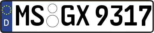 MS-GX9317