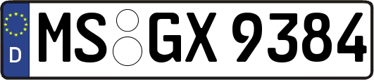 MS-GX9384