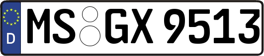 MS-GX9513