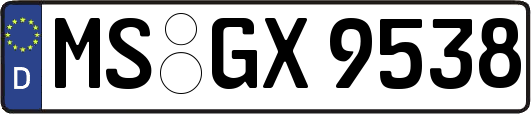 MS-GX9538