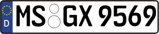 MS-GX9569