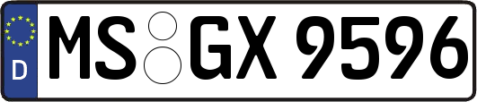 MS-GX9596