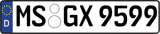 MS-GX9599