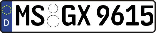 MS-GX9615