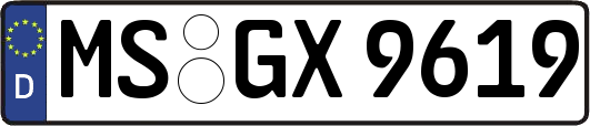 MS-GX9619