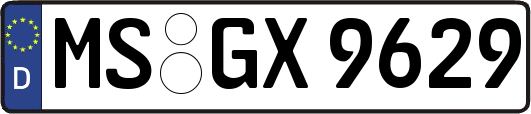 MS-GX9629
