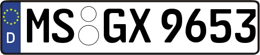 MS-GX9653