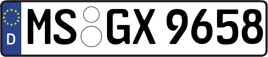 MS-GX9658