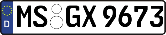 MS-GX9673