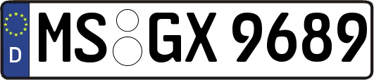 MS-GX9689