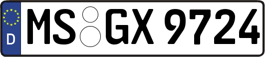 MS-GX9724