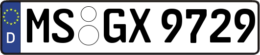 MS-GX9729