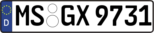 MS-GX9731
