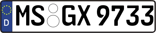 MS-GX9733