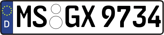 MS-GX9734