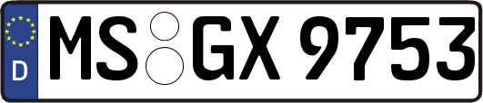 MS-GX9753